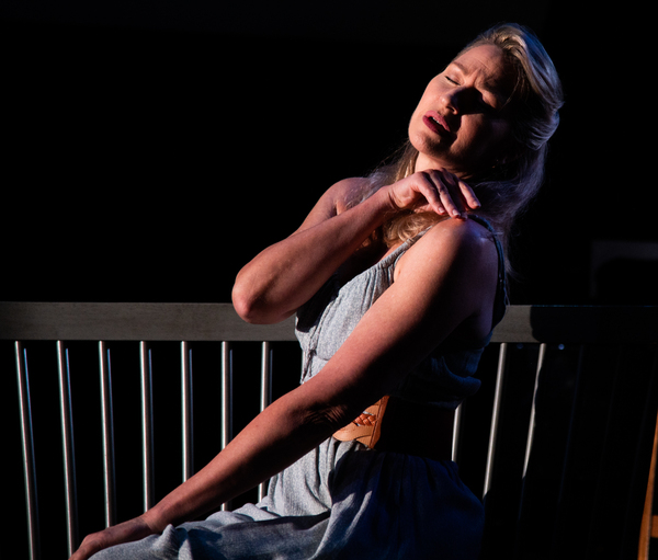 Photos: First Look at Luba Mason and Caesar Samayoa in Fitzhugh and LaChiusa's LOS OTROS Image