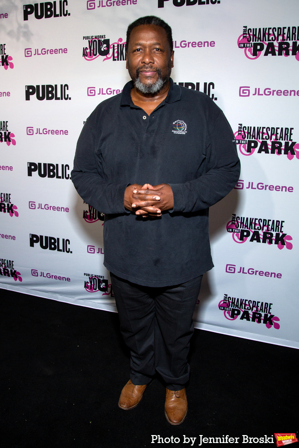 Photos: On the Opening Night Red Carpet for AS YOU LIKE IT at the Delacorte Theater Image