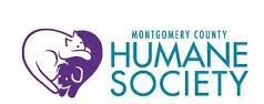 News: DC Artists Come Together in a Cabaret Evening for Montgomery County Humane Society 