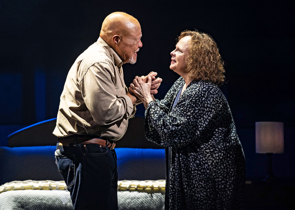 Photos: First Look at THE NOTEBOOK World Premiere Musical at Chicago Shakespeare Theater Image