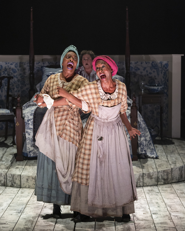 Photos: First Look at THE MOST SPECTACULARLY LAMENTABLE TRIAL OF MIZ MARTHA WASHINGTON at Steppenwolf Image