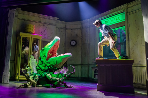 Photos: First Look at Lena Hall as Audrey in LITTLE SHOP OF HORRORS Image