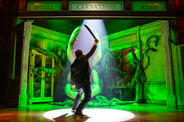 Photos: First Look at Lena Hall as Audrey in LITTLE SHOP OF HORRORS Image