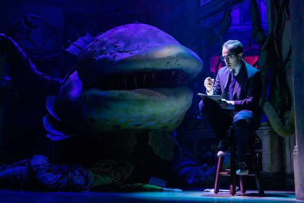 Photos: First Look at Lena Hall as Audrey in LITTLE SHOP OF HORRORS Image