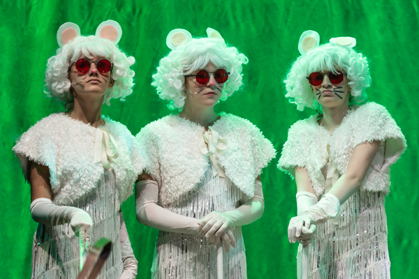 Photos: First look at MTVart's SHREK THE MUSICAL JR Image