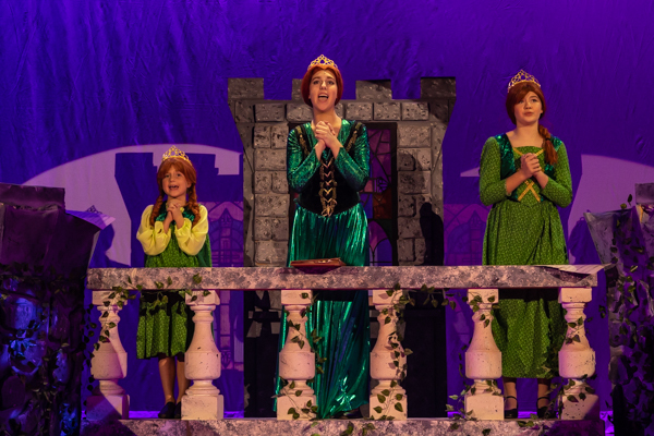 Photos: First look at MTVart's SHREK THE MUSICAL JR Image
