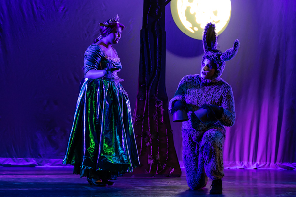 Photos: First look at MTVart's SHREK THE MUSICAL JR Image