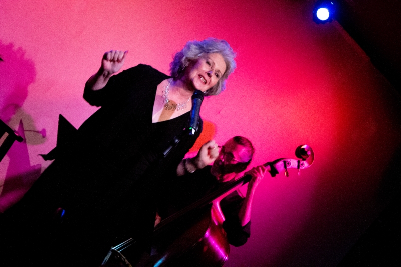 Review: Amy Beth Williams In GREAT LADIES, GREAT SONGS at Don't Tell Mama Is Must-See Cabaret Image
