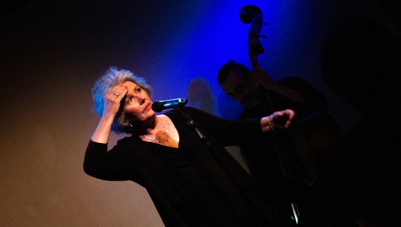 Review: Amy Beth Williams In GREAT LADIES, GREAT SONGS at Don't Tell Mama Is Must-See Cabaret Image
