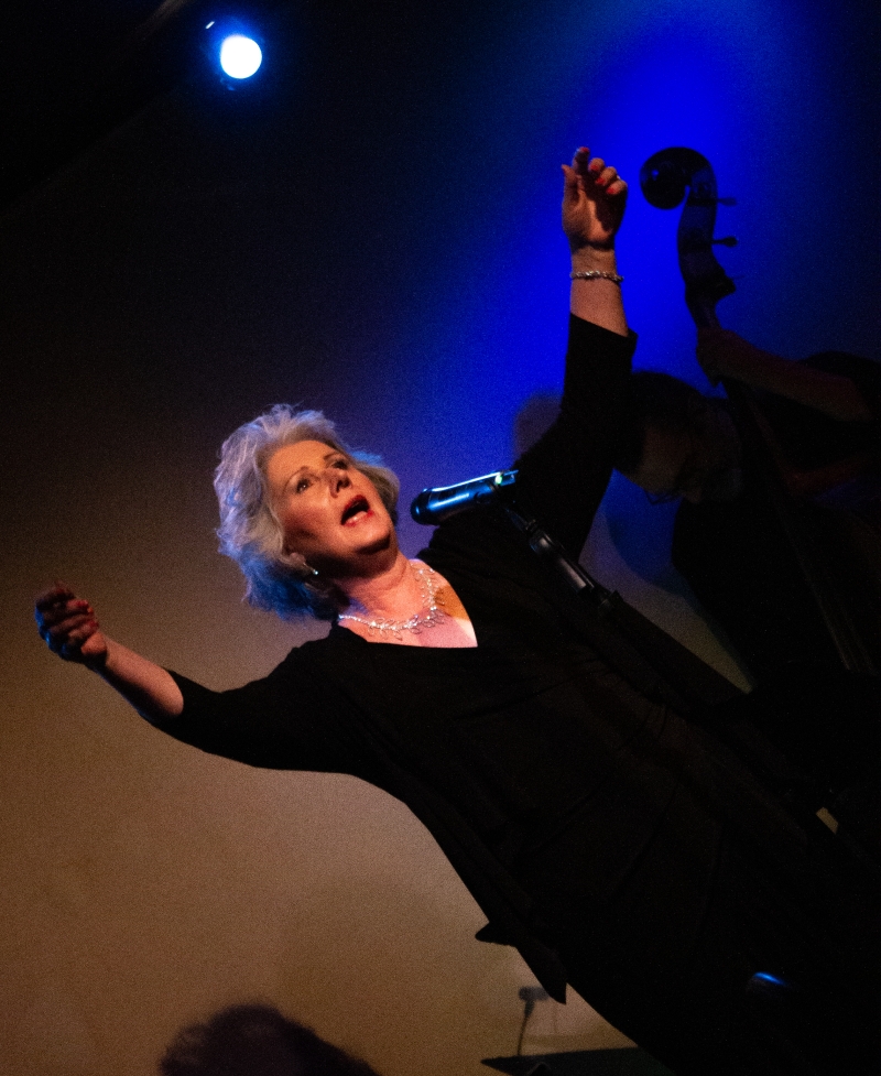 Review: Amy Beth Williams In GREAT LADIES, GREAT SONGS at Don't Tell Mama Is Must-See Cabaret Image