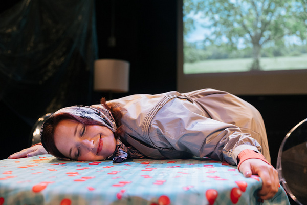 Photos: First Look at Burning House's CHERRY JAM At IRT Theatre Image