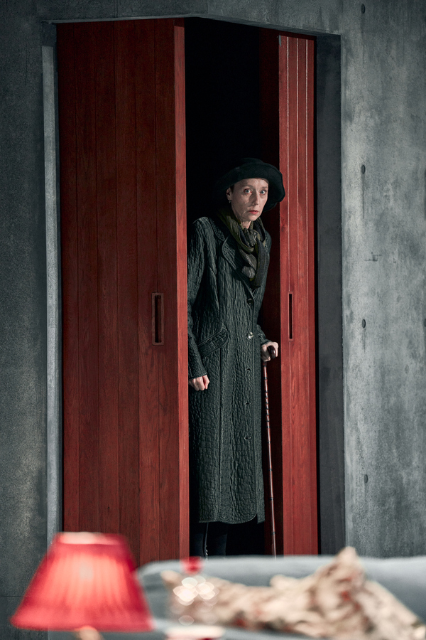 Photos: First Look at JOHN GABRIEL BORKMAN at the Bridge Theatre Image