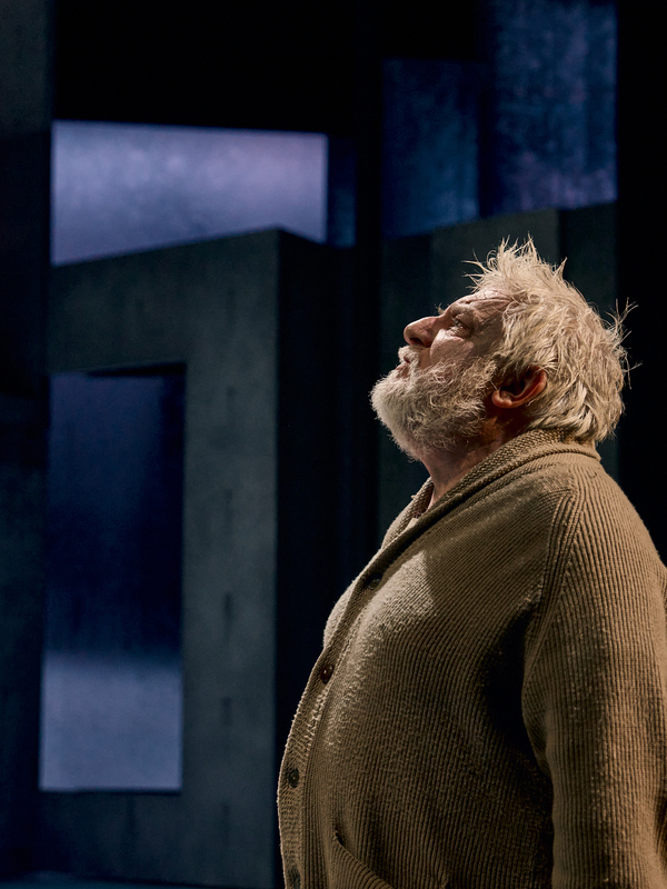 Photos: First Look at JOHN GABRIEL BORKMAN at the Bridge Theatre Image