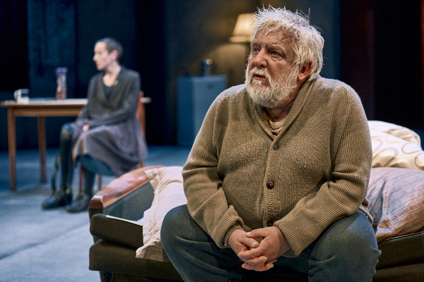 Photos: First Look at JOHN GABRIEL BORKMAN at the Bridge Theatre Image