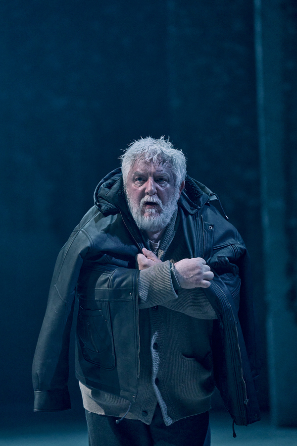Photos: First Look at JOHN GABRIEL BORKMAN at the Bridge Theatre Image