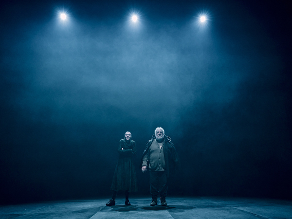 Photos: First Look at JOHN GABRIEL BORKMAN at the Bridge Theatre Image