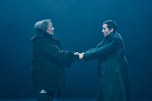Photos: First Look at JOHN GABRIEL BORKMAN at the Bridge Theatre Image