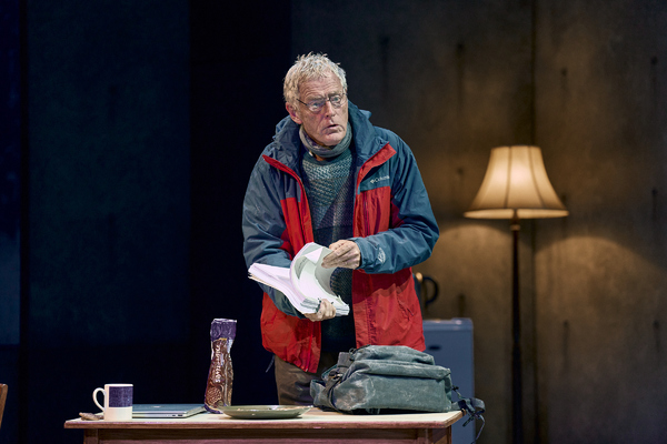 Photos: First Look at JOHN GABRIEL BORKMAN at the Bridge Theatre Image