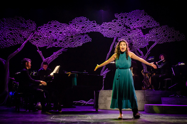 Photos: First Look at A GRAND NIGHT FOR SINGING at The Arrow Rock Lyceum Theatre 