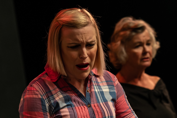 Photos: First look at Original Productions Theatre's An Evening with Lauren Wilkens: Motherload and Skinny 