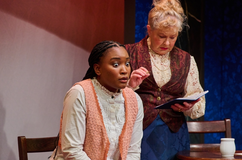 Review: THE GOOD DOCTOR at Washington Stage Guild Image