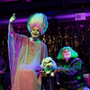 Photos: First Look at Hell in a Handbag Productions' FRANKENSTREISAND Photo