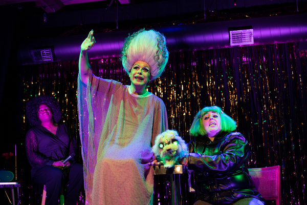 Photos: First Look at Hell in a Handbag Productions' FRANKENSTREISAND Image