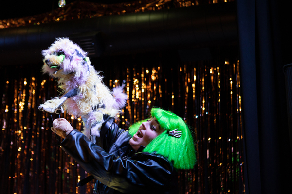 Photos: First Look at Hell in a Handbag Productions' FRANKENSTREISAND Image