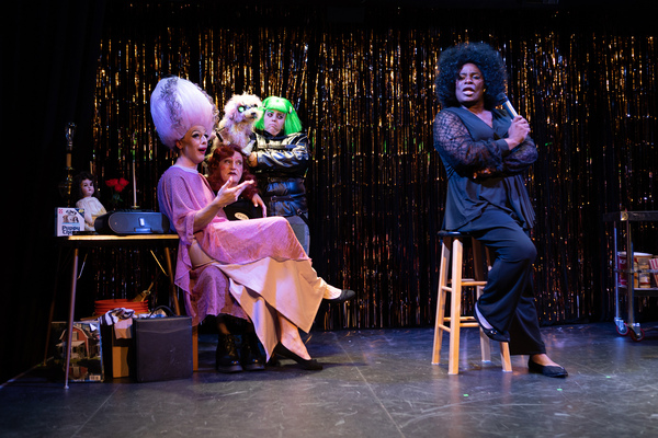 Photos: First Look at Hell in a Handbag Productions' FRANKENSTREISAND Image
