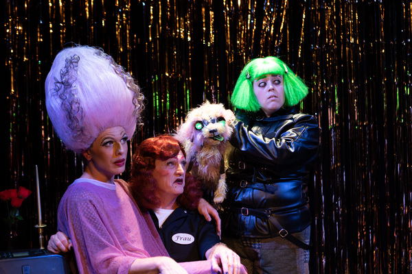 Photos: First Look at Hell in a Handbag Productions' FRANKENSTREISAND Image