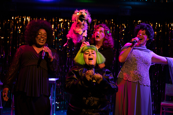 Photos: First Look at Hell in a Handbag Productions' FRANKENSTREISAND Image