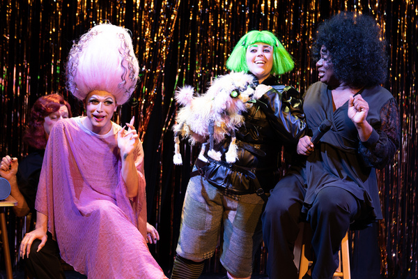 Photos: First Look at Hell in a Handbag Productions' FRANKENSTREISAND Image
