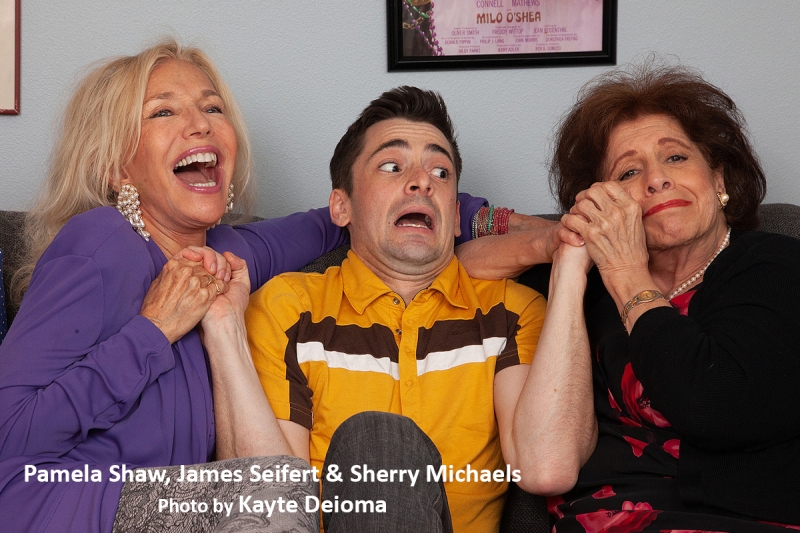 Interview: Playwright David Goldyn's Having DADDY ISSUES Image