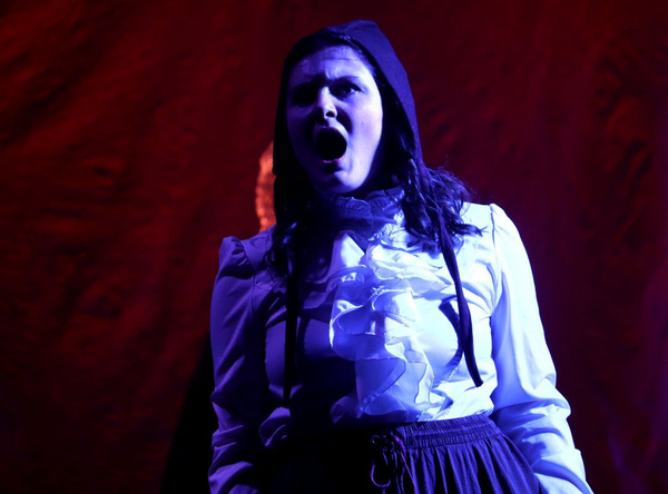 Photos: First Look At FRANKENSTEIN THE MUSICAL At The Players Theatre Image