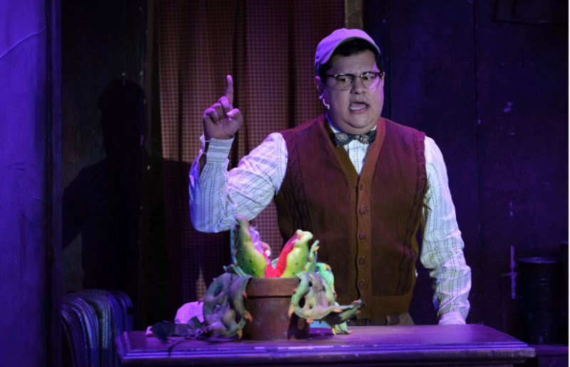 Review: LITTLE SHOP OF HORRORS at San Diego Musical Theatre 