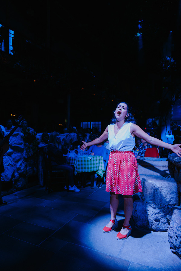 Photos: First Look at the New Cast of MAMMA MIA! THE PARTY Image