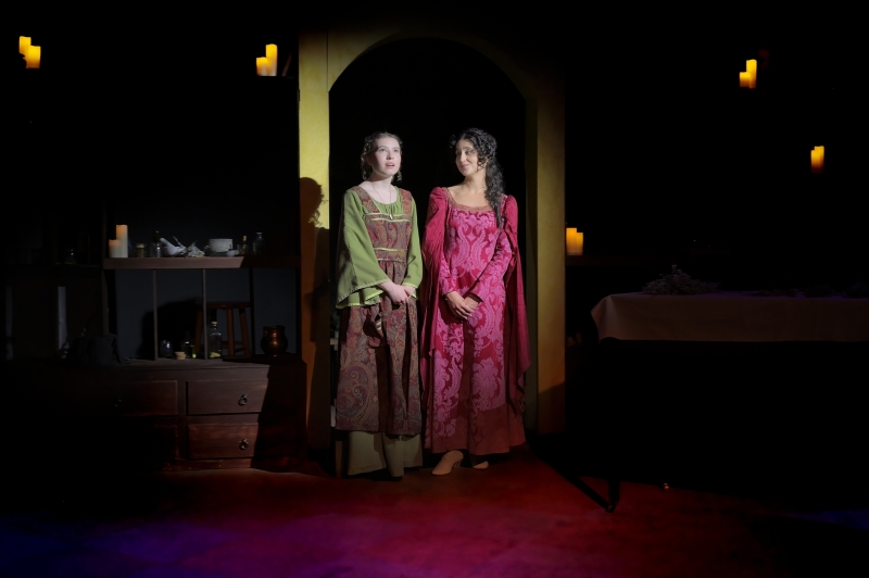 Review: LA TOFANA'S POISON EMPORIUM at Macha Theatre Works Image