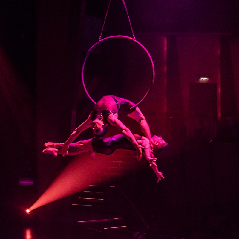 Circus Cabaret AIROTIC SOIREE Will Open At HK Hall On November 4th Image