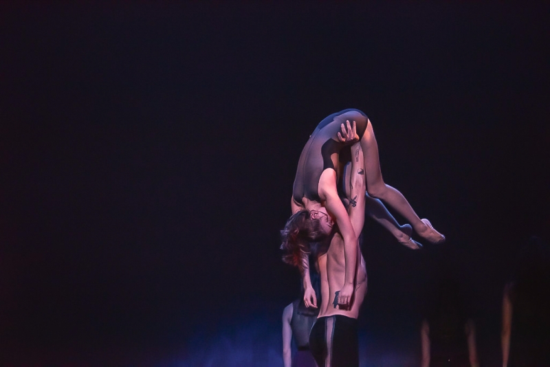 Review: FALL WORKS at Charlotte Ballet Image