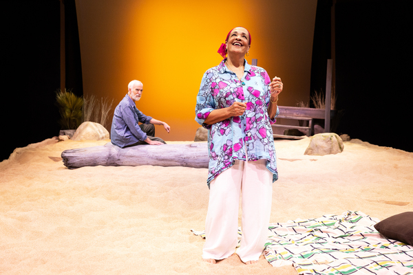 Photos: First Look at Edward Albee's SEASCAPE at Alley Theatre Image