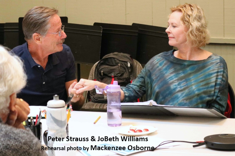 Interview: LOVE & Life Not AMONG THE RUINS for Peter Strauss Image