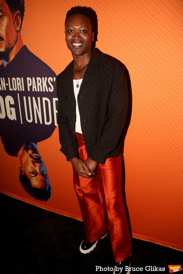Photos: Stars Walk the Red Carpet on Opening Night of TOPDOG/UNDERDOG Image