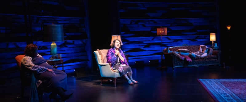 Review: MY BODY NO CHOICE Rallies Cries of Resistance at Arena Stage Image