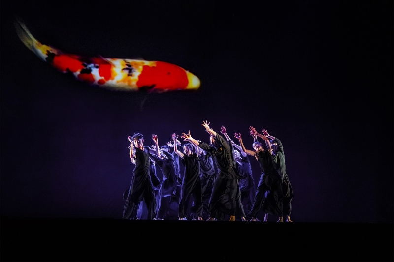 Review: CLOUD GATE DANCE THEATRE OF TAIWAN: 13 TONGUES at The Kennedy Center  Image