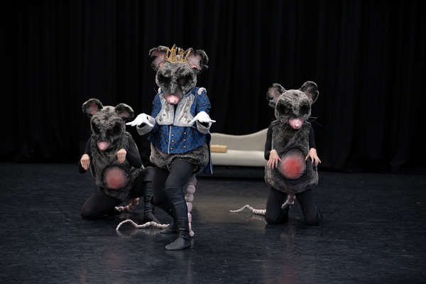 Photos: First Look At Northern Ballet's THE NUTCRACKER Image