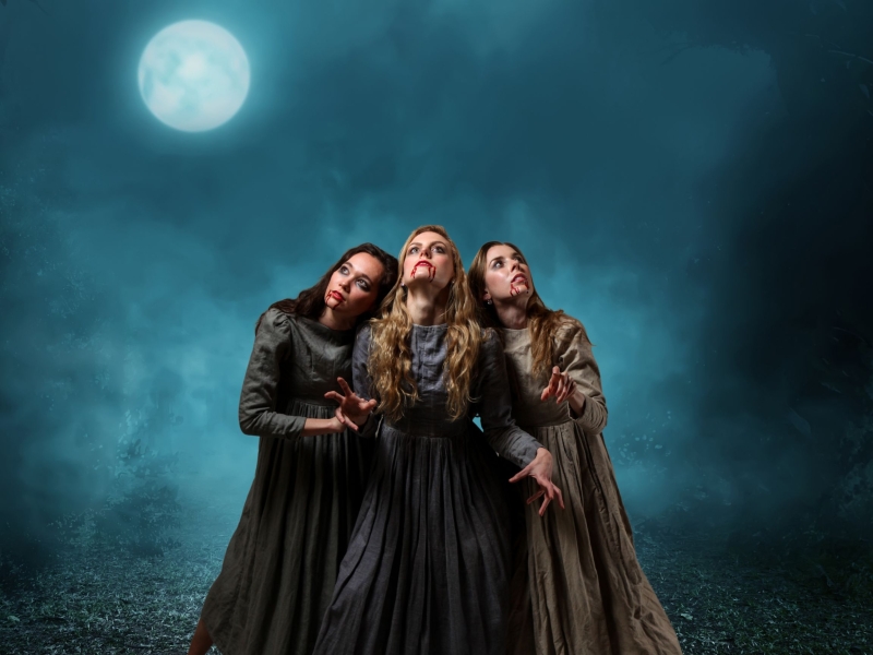 Review: Ballet Arkansas' DRACULA at PTC-CHARTS Takes Ballet to the Next Level Through Multimedia Effects 