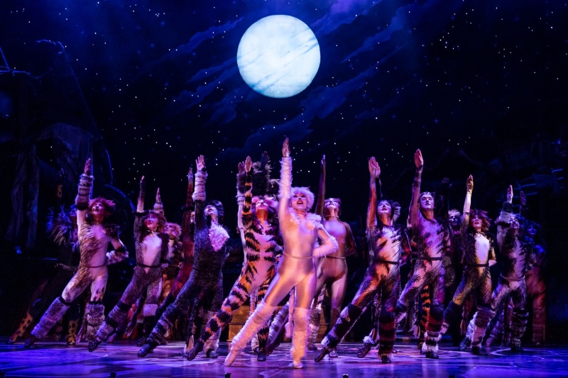 Review: CATS at Minneapolis' Orpheum Theater 
