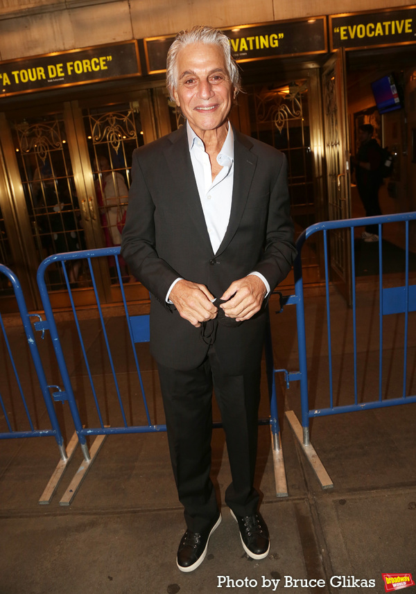 Photos: On the Red Carpet for Opening Night of WALKING WITH GHOSTS Image