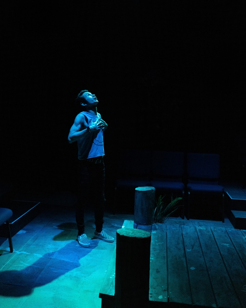Review: A PICTURE OF TWO BOYS at New Conservatory Theatre Center Image