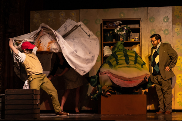 Photos: First look at Wagnalls Community Theatre's LITTLE SHOP OF HORRORS Image